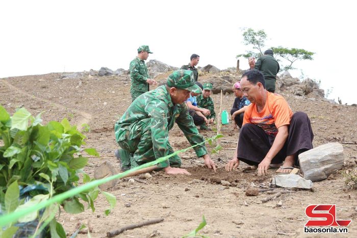 Bộ đội Biên phòng Việt Nam hướng dẫn kỹ thuật trồng cây cà phê cho nhân dân bản Móng Nặm, nước CHDCND Lào.