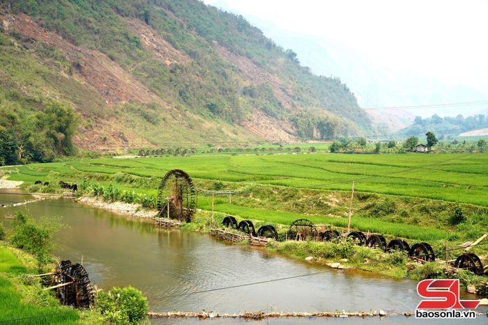 Một góc cánh đồng bản Huổi Lanh, xã Long Hẹ.