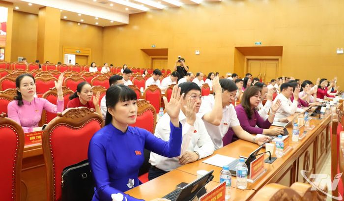 Đại biểu biểu quyết thông qua các nghị quyết.
