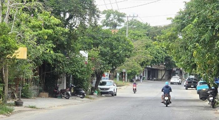 Cử tri kiến nghị đầu tư nâng cấp tuyến đường Lê Ngô Cát