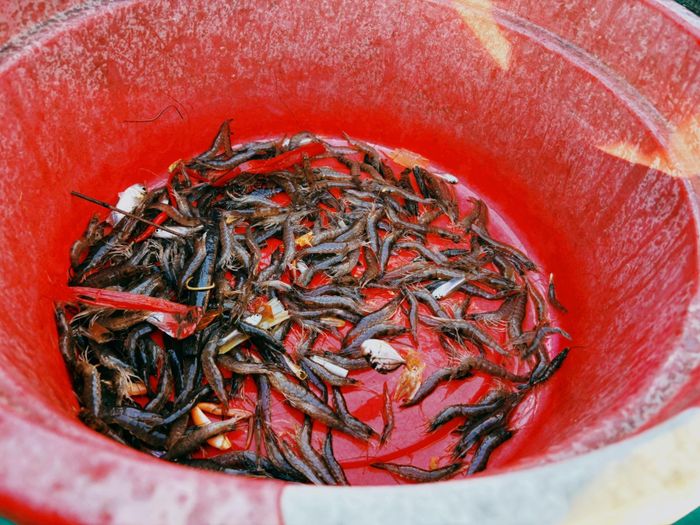  Thành quả sau buổi trải nghiệm làm ngư dân