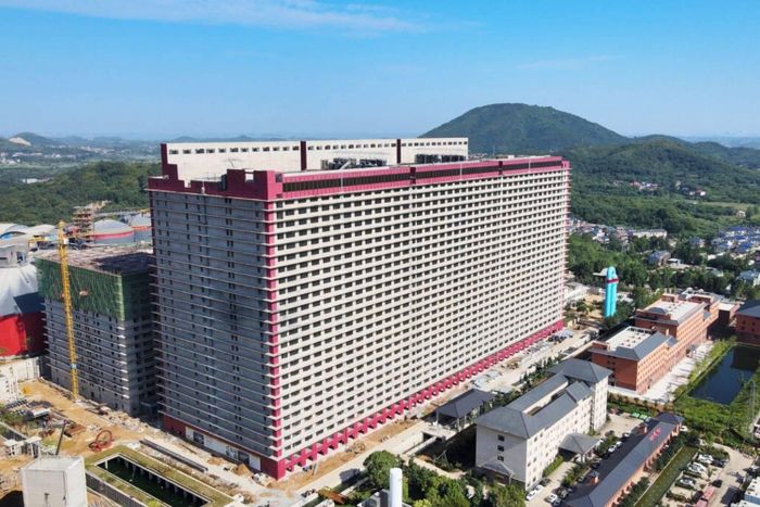 Một chung cư nuôi lợn tại Trung Quốc.