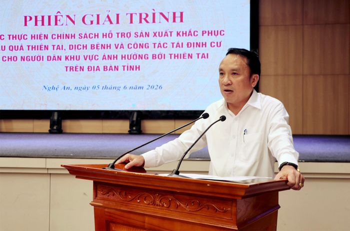 Phó Chủ tịch Thường trực HĐND tỉnh Dương Đình Chỉnh phát biểu tại phiên giải trình