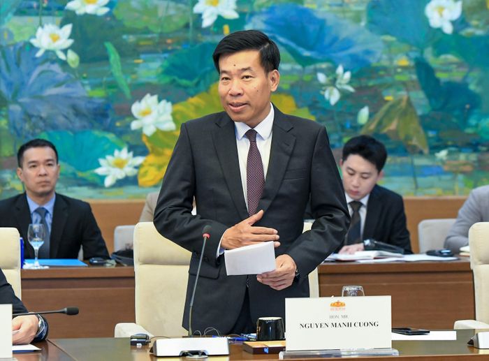 Thứ trưởng Bộ Ngoại giao Nguyễn Mạnh Cường phát biểu