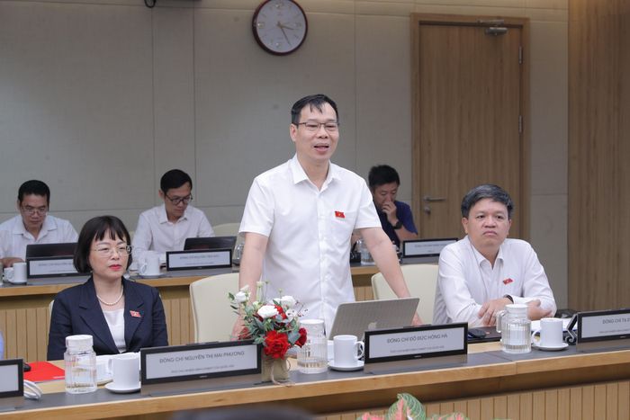 Phó Chủ nhiệm Ủy ban Khoa học, Công nghệ và Môi trường Đỗ Đức Hồng Hà phát biểu