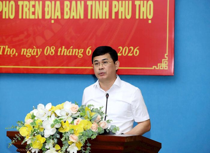 Giám đốc Sở Nội vụ tỉnh Phú Thọ Trần Việt Cường trình bày phương án tổng thể sắp xếp, đổi tên thôn, tổ dân phố trên địa bàn tỉnh.