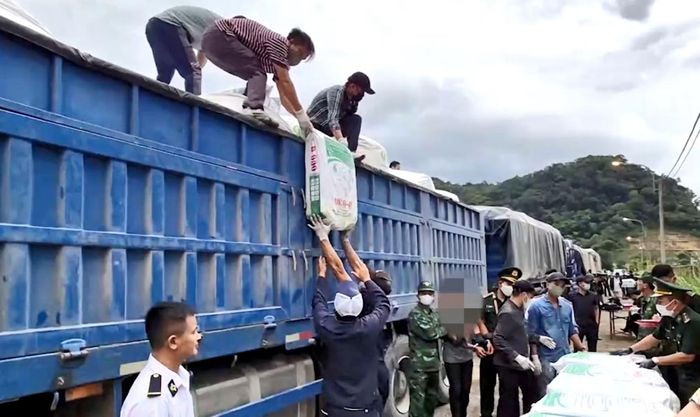  Nửa tấn ma túy được cất giấu trong các bì xác rắn, vận chuyển bằng xe “hai khúc” qua biên giới Việt – Lào (Tháng 10/2025). 
