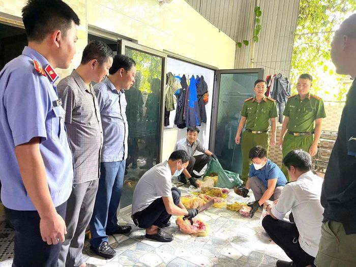 Ngành chức năng phát hiện nửa tấn thịt lợn nhiễm dịch tả châu Phi chuẩn bị được "tuồn" ra thị trường.