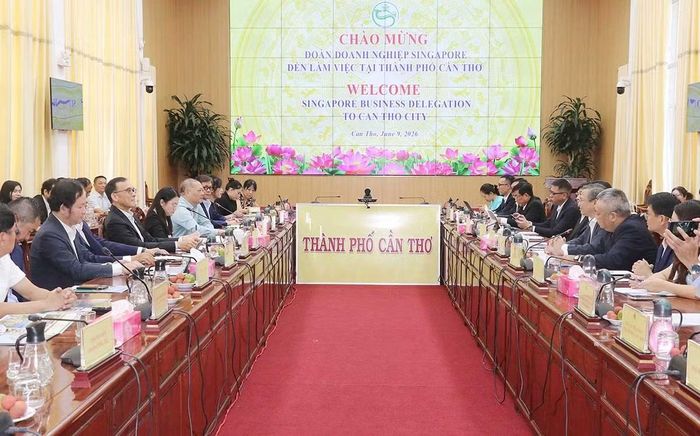 Các đại biểu tham dự buổi làm việc.