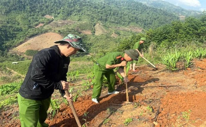 CBCS Công an xã Mường Toong giúp nhân dân trồng cây cà phê.