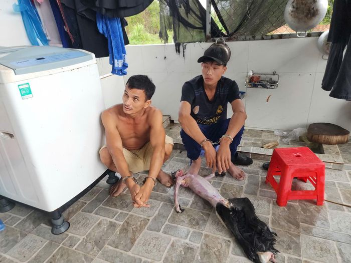 Ngô Hoàng Phi và Ngô Hoàng Hậu bên cá thể voọc bạc