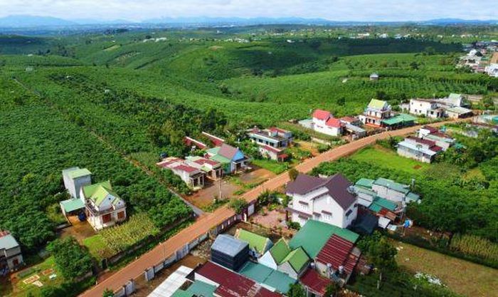 Ảnh minh họa.
