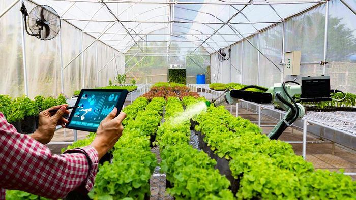 Hội Nông dân Việt Nam đặt mục tiêu có thêm 5.000 doanh nghiệp nông nghiệp. Ảnh minh họa