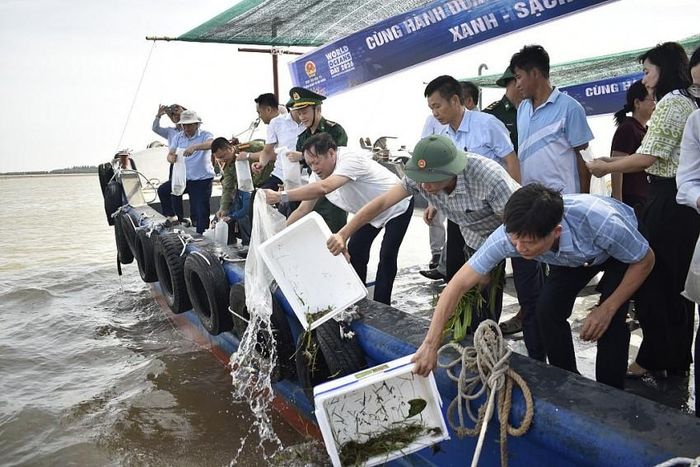 Các đại biểu tham gia thả cá giống thủy sản tại khu vực Cửa Lân, xã Nam Cường. (Nguồn internet)