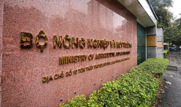 Bộ Nông nghiệp và Môi trường đã triển khai thí điểm xây dựng vùng nguyên liệu nông, lâm sản đạt chuẩn tại 13 tỉnh với mục tiêu hình thành 5 vùng nguyên liệu quy mô lớn, làm cơ sở nhân rộng trên phạm vi cả nước