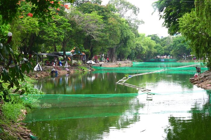 Nghĩa trang Chí Hòa - Công viên Lê Thị Riêng ngày nay.