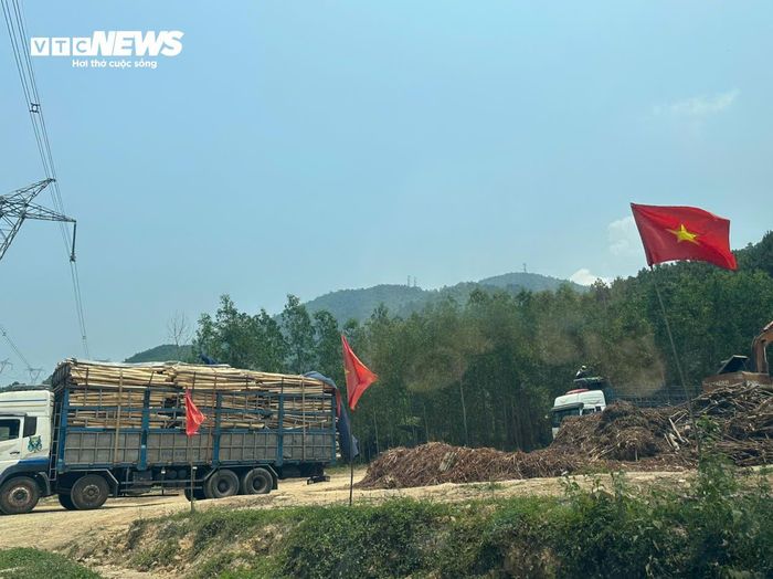 Các trạm cân thu mua keo tràm trái phép ngoài việc gần như không đóng góp gì cho ngân sách địa phương và còn tiềm ẩn nhiều rủi ro thất thoát thuế