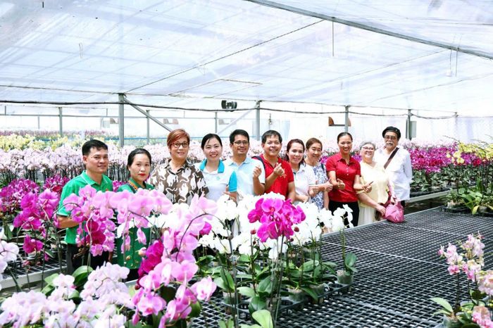 Đoàn đại diện doanh nghiệp Philippines tham quan mô hình trồng hoa lan trên địa bàn xã Liên Minh. Ảnh: NM