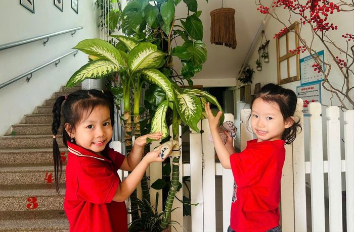 Các không gian xanh được Trường Mầm non Đoàn Thị Điểm xây dựng hài hòa, giúp trẻ hình thành ý thức yêu thiên nhiên và bảo vệ môi trường. Ảnh: Tuệ Lâm