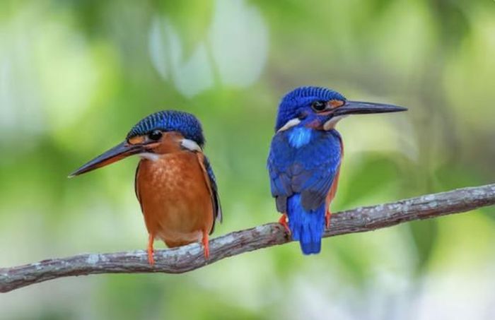 Phụ nữ sinh giờ Mùi Âm lịch không thích mâu thuẫn, luôn hướng đến sự hòa hợp nên được nhiều người yêu quý, kính trọng. Ảnh minh họa