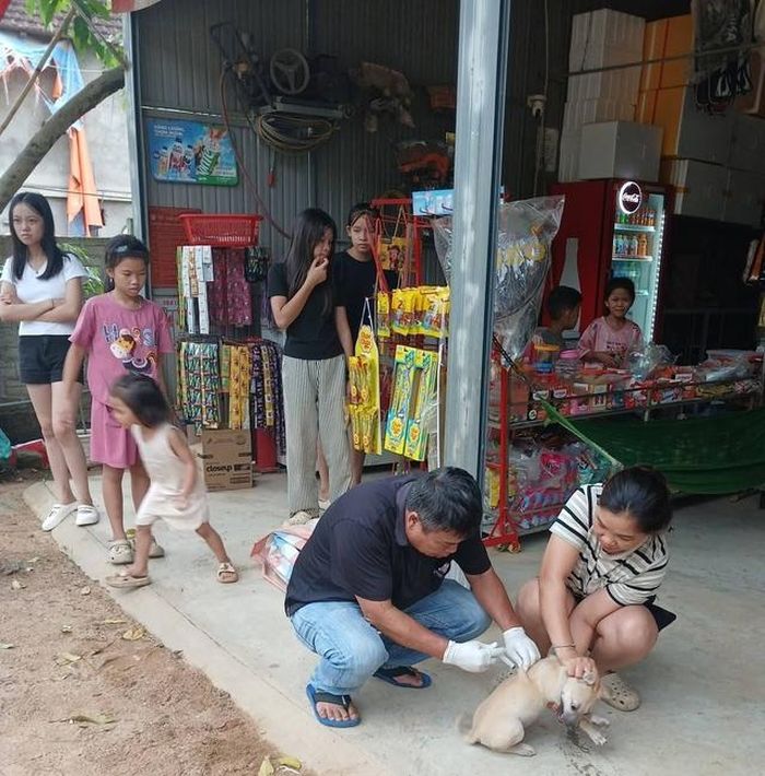 Lực lượng y tế và thú y phối hợp xử lý ổ dịch, tiêm phòng dại cho chó nuôi tại bản Kẻ Trằng nhằm ngăn chặn nguy cơ lây lan bệnh dại trong cộng đồng.