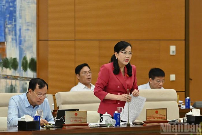 Chủ nhiệm Ủy ban Khoa học, Công nghệ và Môi trường của Quốc hội Nguyễn Thanh Hải phát biểu tại phiên họp.