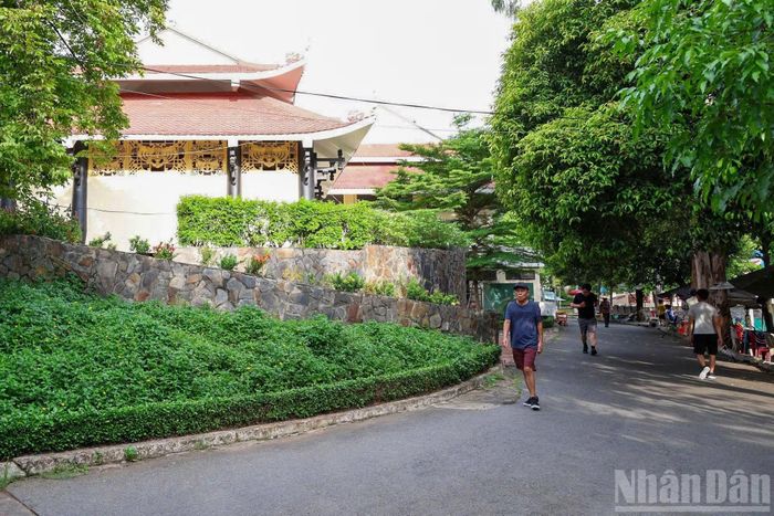 Khu vực cây xanh nằm gần nhà truyền thống và bia tưởng niệm các liệt sĩ được cho là một trong những vị trí nghi có hố chôn tập thể các chiến sĩ hy sinh.