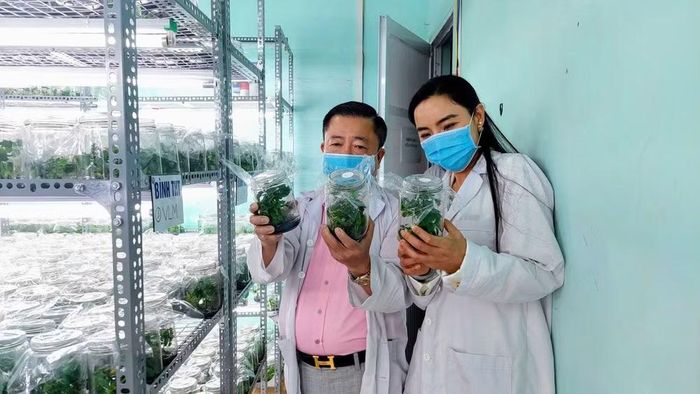 Nghiên cứu bảo tồn, nhân giống bằng kỹ thuật NCM kết hợp với CN Bioreactor.