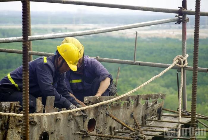 Hai công nhân đang làm việc, phía sau là cánh rừng đước xanh của Đồng Nai.