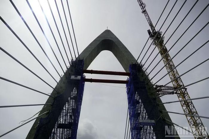 Dây văng và tháp cầu.