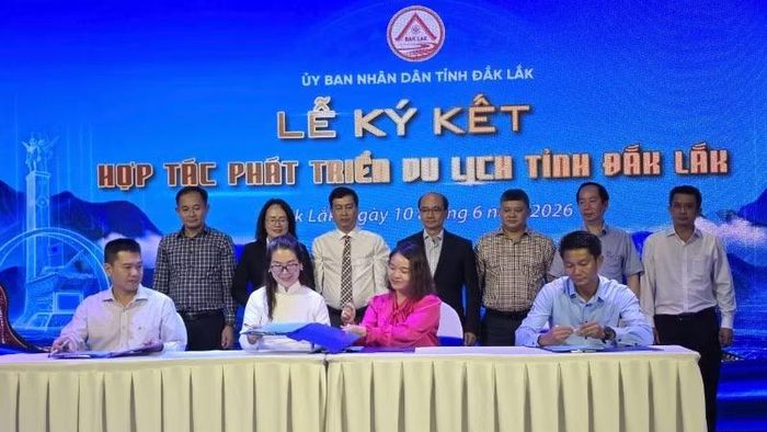 Các doanh nghiệp lữ hành ký kết chương trình hợp tác giữa với các cơ sở lưu trú du lịch, khu du lịch, điểm du lịch, nhà hàng, vận tải khách du lịch.