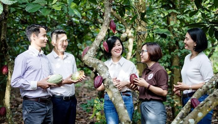 Mô hình liên kết giữa nông dân và doanh nghiệp góp phần bảo đảm đầu ra ổn định cho sản phẩm ca cao.