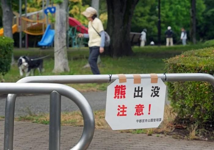 Bảng cảnh báo đề phòng gấu ở một công viên thuộc TP Utsunomiya - Nhật Bản - Ảnh: AP