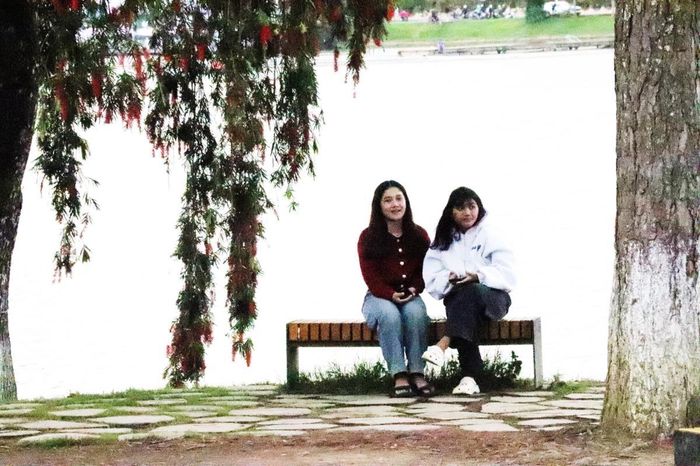Ghế đá, lứa đôi và bạn bè.