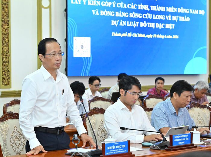  Phó Chủ tịch UBND tỉnh Vĩnh Long Nguyễn Trúc Sơn phát biểu tại hội nghị. Ảnh: VIỆT DŨNG 