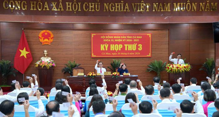 Các đại biểu HĐND tỉnh Cà Mau khóa XI biểu quyết thông qua nghị quyết