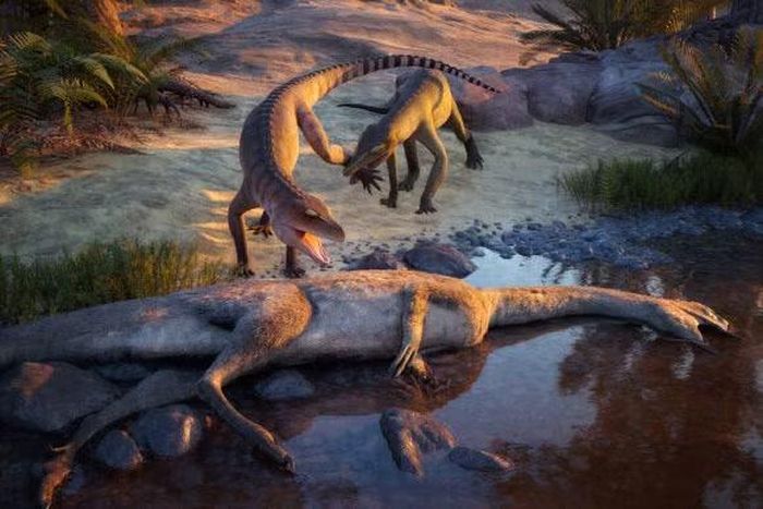 Quái vật Eosphorosuchus lacrimosa (trái ảnh) bị Hesperosuchus agilis (phải ảnh) "quấy rầy" khi tới gần xác của con Coelophysis tại khu vực ngày nay là Ghost Ranch, New Mexico. Ảnh: Julio Lacerda.