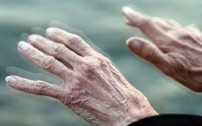 Theo giới phân tích, có ba yếu tố chính thúc đẩy xu hướng này gồm sự trưởng thành của công nghệ, những kết quả lâm sàng khả quan trên thế giới và nhu cầu ngày càng lớn đến từ xã hội già hóa, đặc biệt tại Trung Quốc nơi hiện có hơn 200 triệu người trên 65 tuổi và hơn 3 triệu bệnh nhân Parkinson.