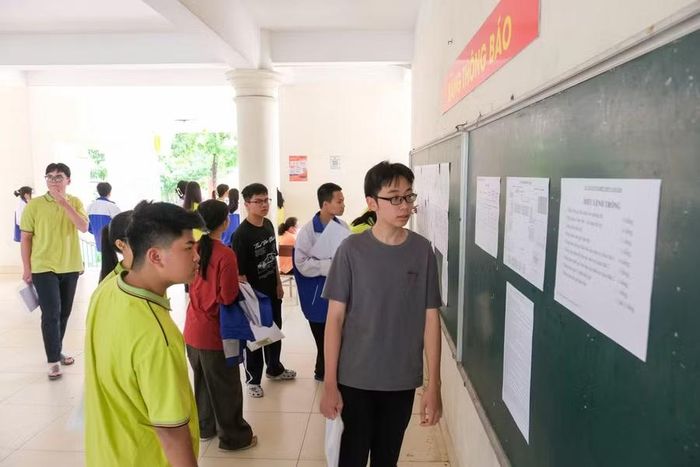 Thí sinh kiểm tra lại thông tin dự thi.