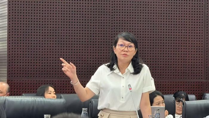 Bà Trần Thị Thanh Tâm, Giám đốc Sở Tài chính TP Đà Nẵng phát biểu tại hội nghị. Ảnh: Nguyễn Thành