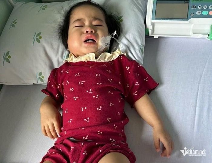  Cách duy nhất để cứu bé Quỳnh là ghép tế bào gốc với số tiền lên tới cả tỷ đồng