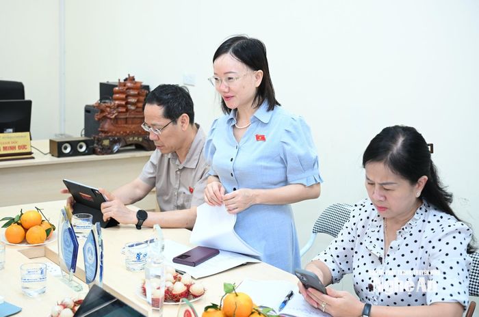 Đồng chí Thái Thị An Chung - Phó Trưởng đoàn chuyên trách Đoàn Đại biểu Quốc hội tỉnh phát biểu tại buổi giám sát. Ảnh: Thành Cường