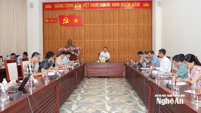 Phó Chủ tịch UBND tỉnh Nguyễn Văn Đệ chủ trì buổi làm việc. Ảnh: Nguyễn Toàn