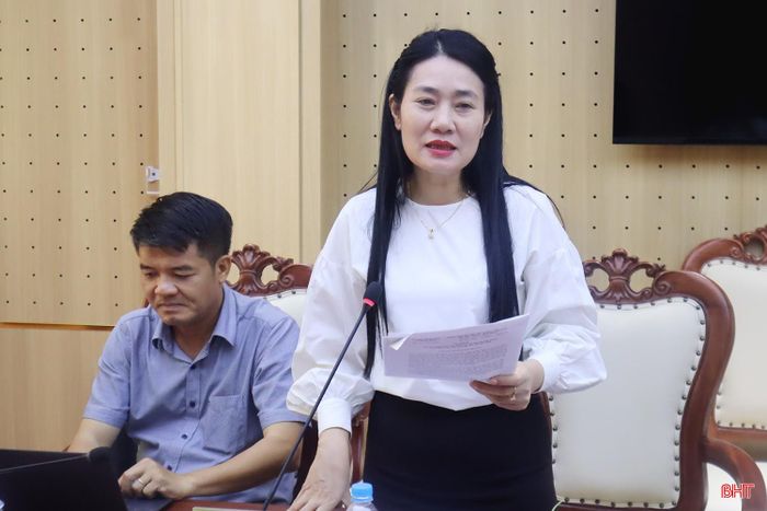 Phó Chủ tịch HĐND tỉnh Nguyễn Thị Việt Hà phát biểu tại cuộc làm việc.
