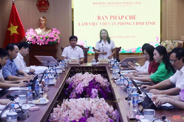 Các đại biểu tham dự cuộc làm việc.