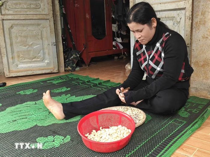 Hộ gia đình bà Thị Man, thôn Bom Bo, xã Bom Bo làm thêm cạo vỏ lụa điều kiếm thu nhập sau khi được nhà nước hỗ trợ xây nhà, bò giống. (Ảnh: K GƯỈH/TTXVN)