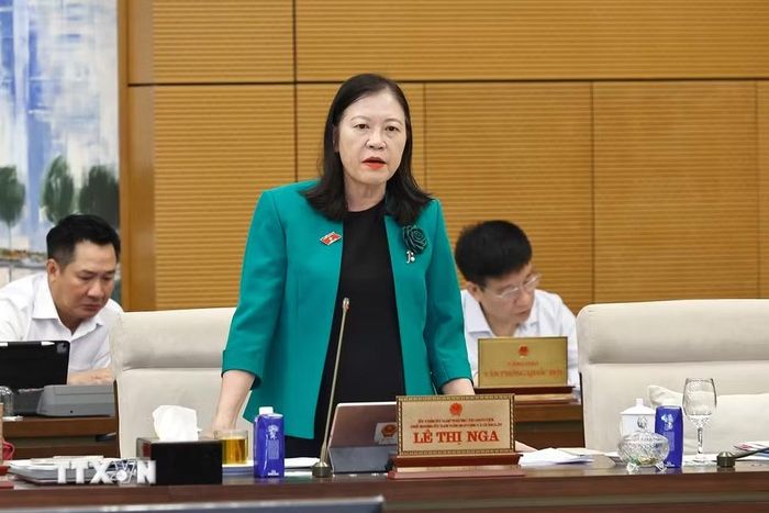Chủ nhiệm Ủy ban Dân nguyện và Giám sát của Quốc hội Lê Thị Nga phát biểu. (Ảnh: Doãn Tấn/TTXVN)