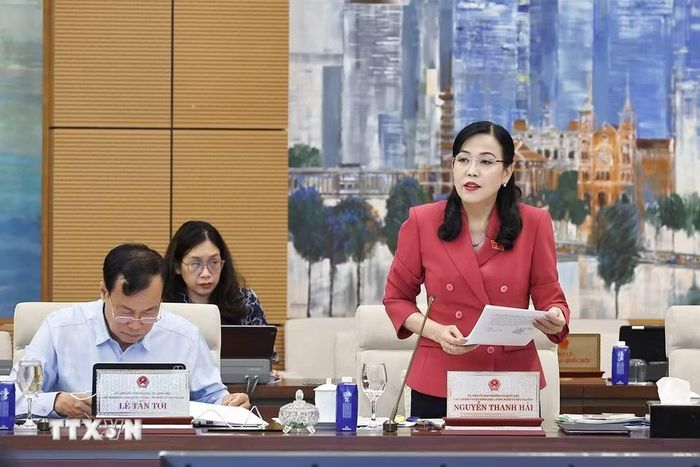 Chủ nhiệm Ủy ban Khoa học, Công nghệ và Môi trường của Quốc hội Nguyễn Thanh Hải phát biểu. (Ảnh: Doãn Tấn/TTXVN)