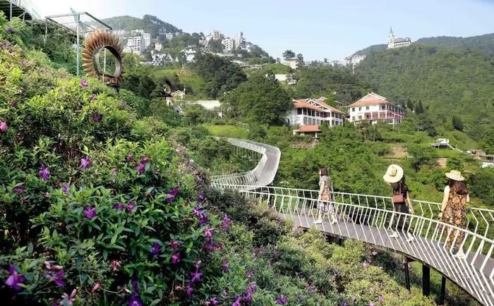 Được ví như “Sa Pa thu nhỏ,” thị trấn du lịch Tam Đảo sở hữu khung cảnh thiên nhiên vừa hùng vĩ, vừa thơ mộng. (Ảnh: TTXVN)