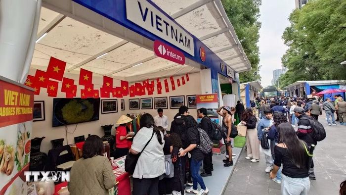 Du khách xếp hàng trước Góc Việt Nam tại sự kiện. (Ảnh: Phi Hùng/TTXVN)